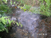s_PICT0379_thumb.png